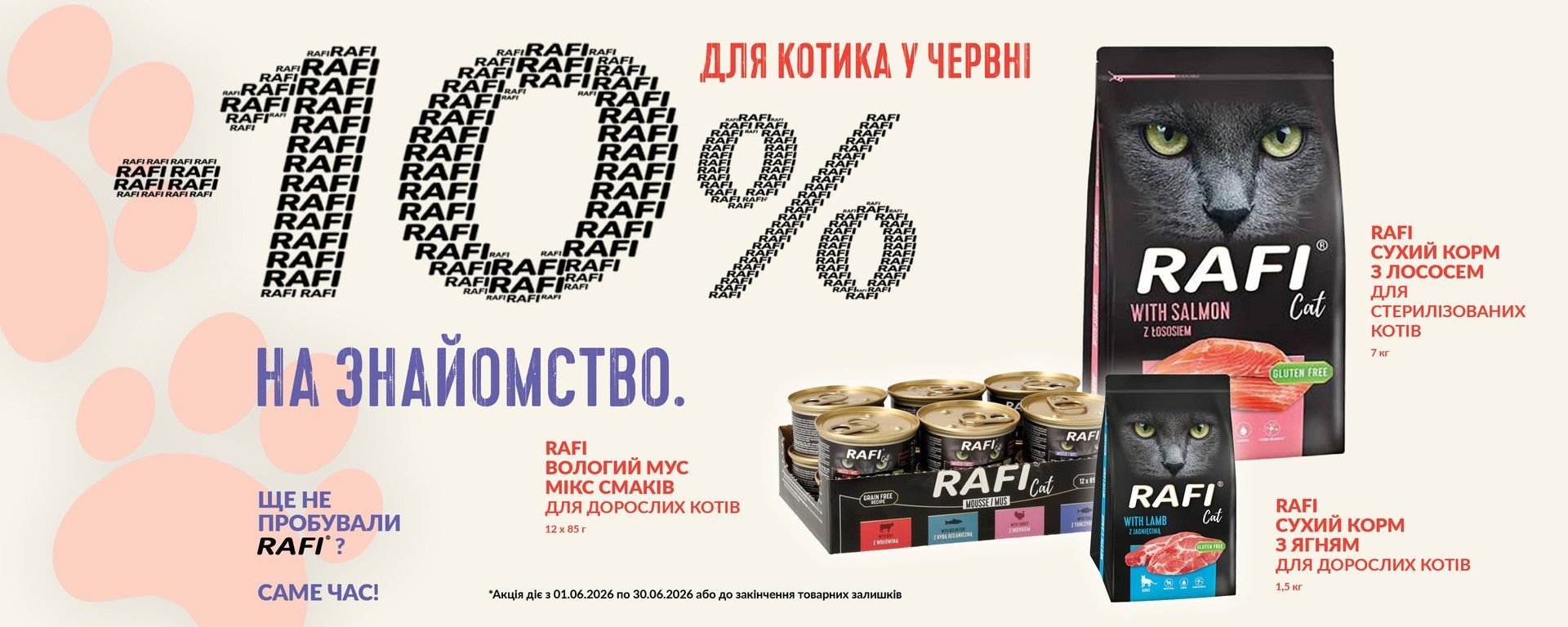 акції коти