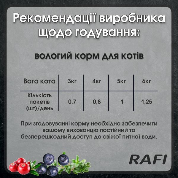 Вологий корм для дорослих котів Dolina Noteci RAFI сat пауч з лососем, 300 г 12801362 фото