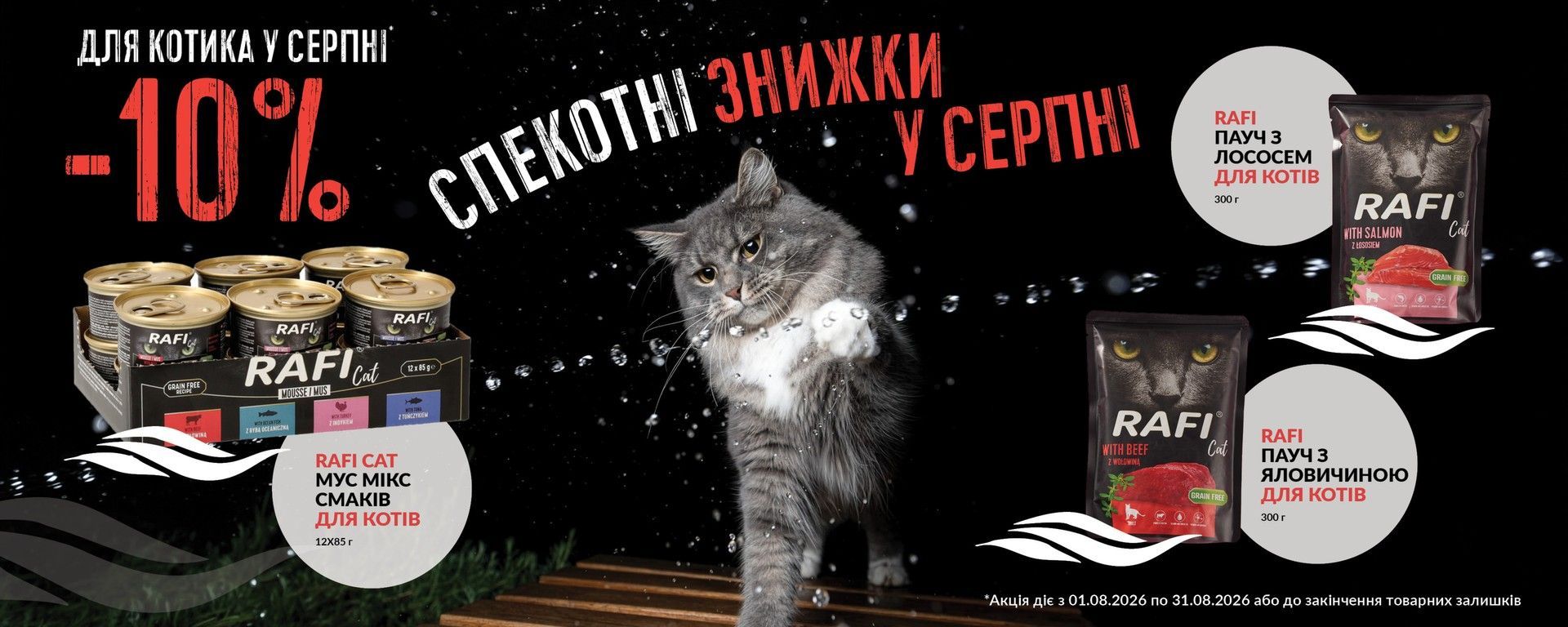 акції коти